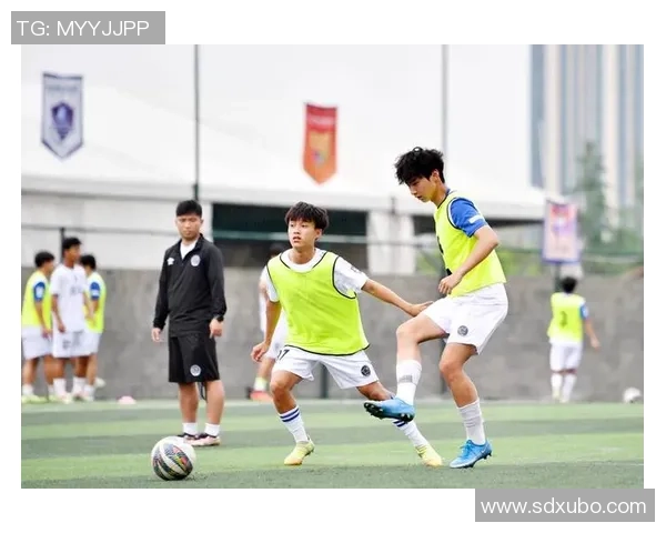 球星点评中国足球明星实力与发展潜力探讨 球星点评中国足球明星实力与发展潜力探讨