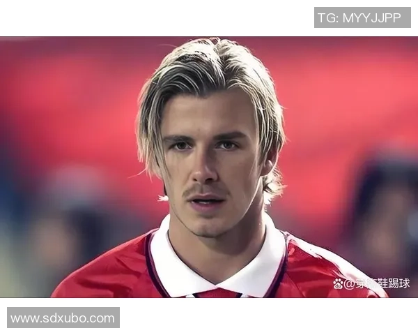 冷眼旁观意甲足球明星的起伏人生与赛场沉浮 冷眼旁观意甲足球明星的起伏人生与赛场沉浮