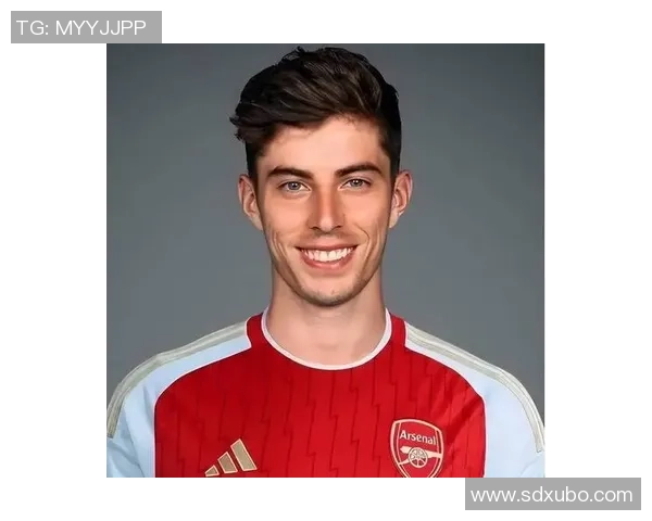 盘点近年来中国内地最具影响力的十大足球球星排名与实力解析