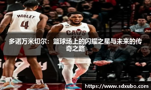 多诺万米切尔：篮球场上的闪耀之星与未来的传奇之路