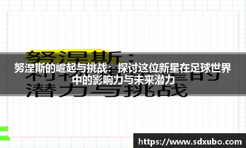 努涅斯的崛起与挑战：探讨这位新星在足球世界中的影响力与未来潜力